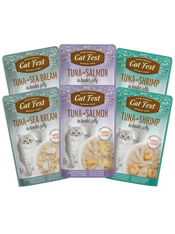 Pack Cat Fest Tender Jelly Variedades 6u 2