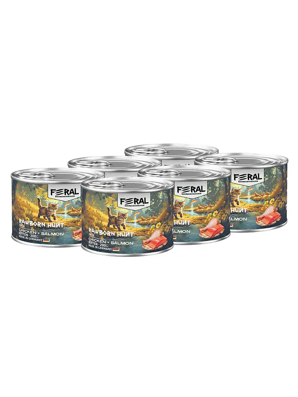 Feral Gato Pack 6 Latas Variedades  2