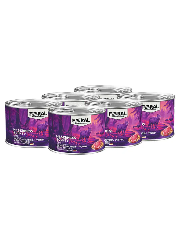 Feral Gato Pack 6 Latas Variedades  4