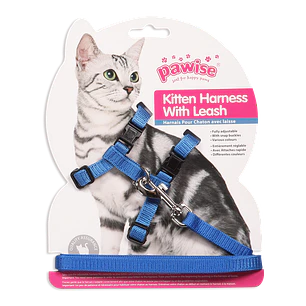 Pawise Arnes con Trailla Azul