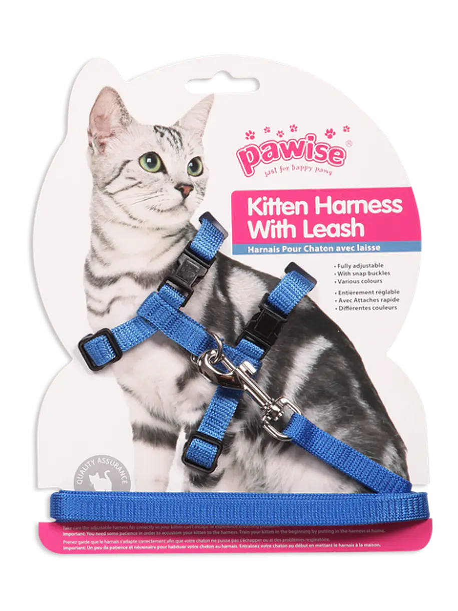 Pawise Arnes con Trailla Azul 1