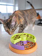 Nina Ottoson CatstagesLickin Layers Comedero Puzzle - Miniatura 4