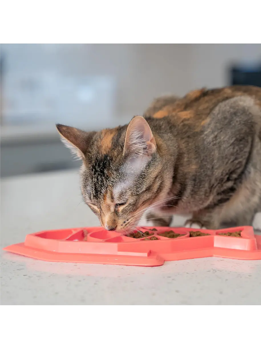 Nina Ottoson Catstages Mat Alimentation 3