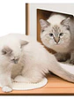 Catit Vesper Double Nogal Rascador - Miniatura 5
