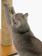 Catit Vesper Double Nogal Rascador - Miniatura 6