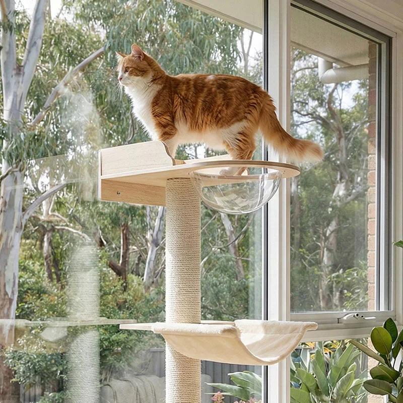 🏠🐱 Gato indoor: beneficios de vivir dentro de casa y por qué no significa estar encerrado