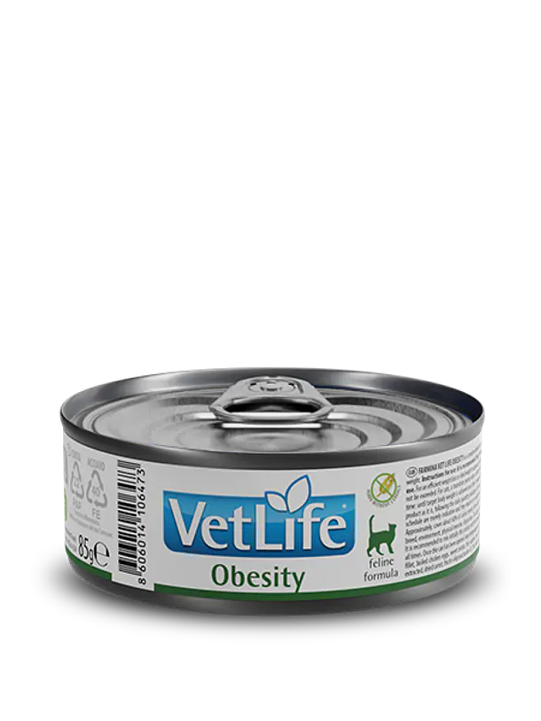 VetLife Lata Gato Obesity 1