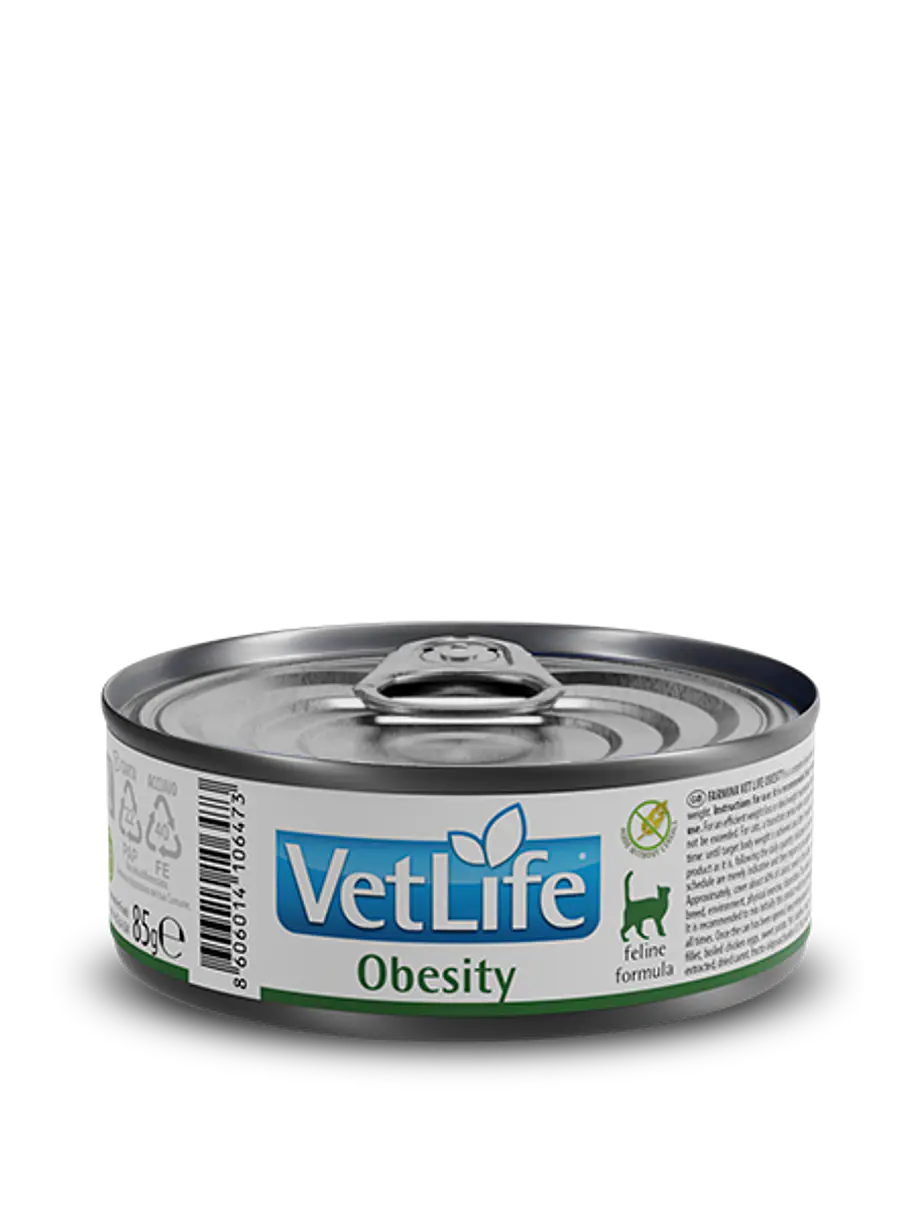 VetLife Lata Gato Obesity 1