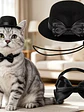 Conjunto de Sombrero Elegante y Corbatín para Gatos - Miniatura 2