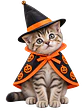 Disfraz de Mago de Halloween Para Gatitos Kitten - Miniatura 1