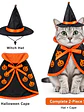 Disfraz de Mago de Halloween Para Gatitos Kitten - Miniatura 2