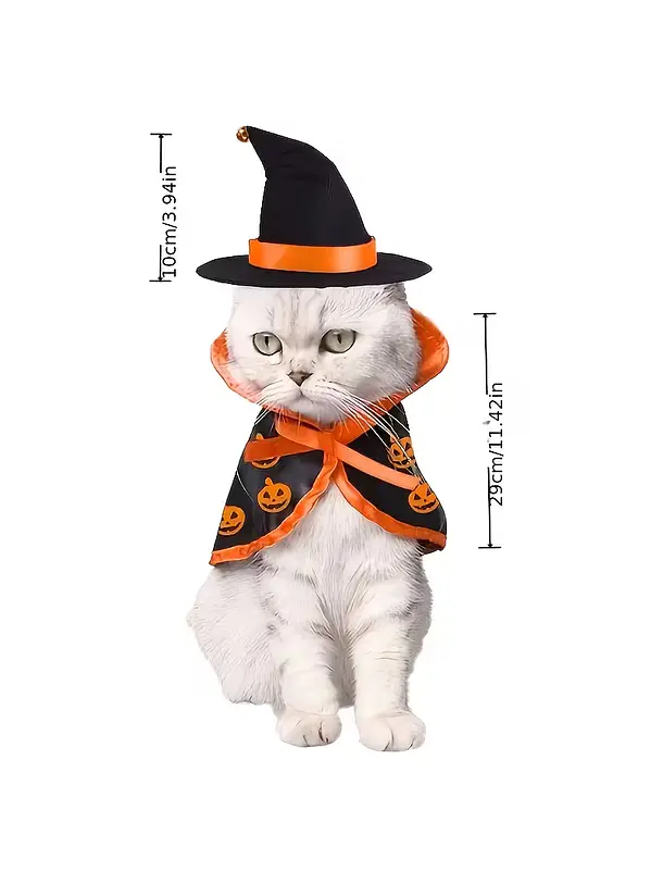 Disfraz de Mago de Halloween Para Gatitos Kitten 3