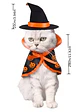 Disfraz de Mago de Halloween Para Gatitos Kitten - Miniatura 3