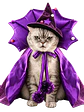 Disfraz de Mago Bruja Morado Para Gatos - Miniatura 1