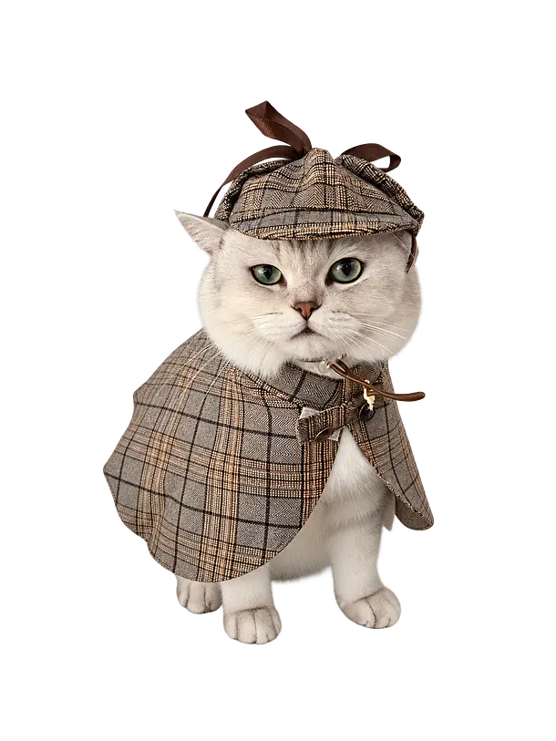 Disfraz de Sherlock Holmes para Gatos 1