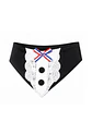 Bandana Huasa Elegante Para Gatos - Miniatura 1