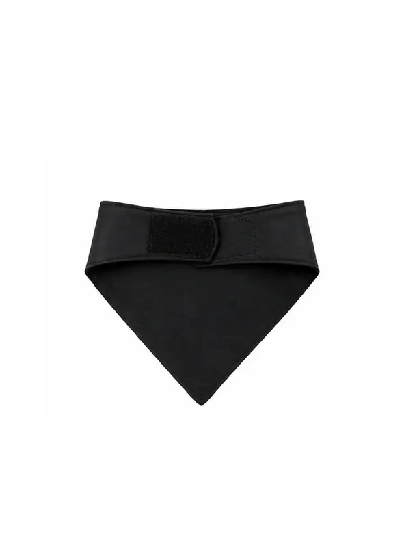 Bandana Huasa Elegante Para Gatos 2