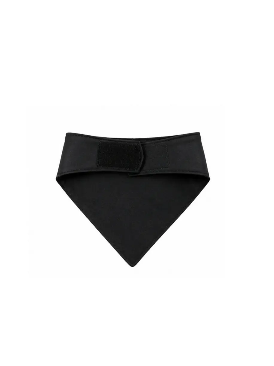 Bandana Huasa Elegante Para Gatos 2