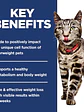 Hill's Science Diet Gato Adulto Perfect Weight 1.36Kg - Miniatura 4