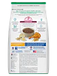 Hill's Science Diet Gato Kitten Indoor 1.58Kg - Miniatura 2