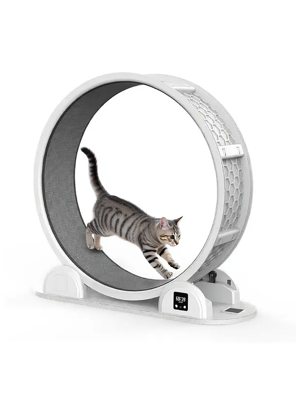 Rueda de Ejercicio Smart Caminadora Para Gatos 1