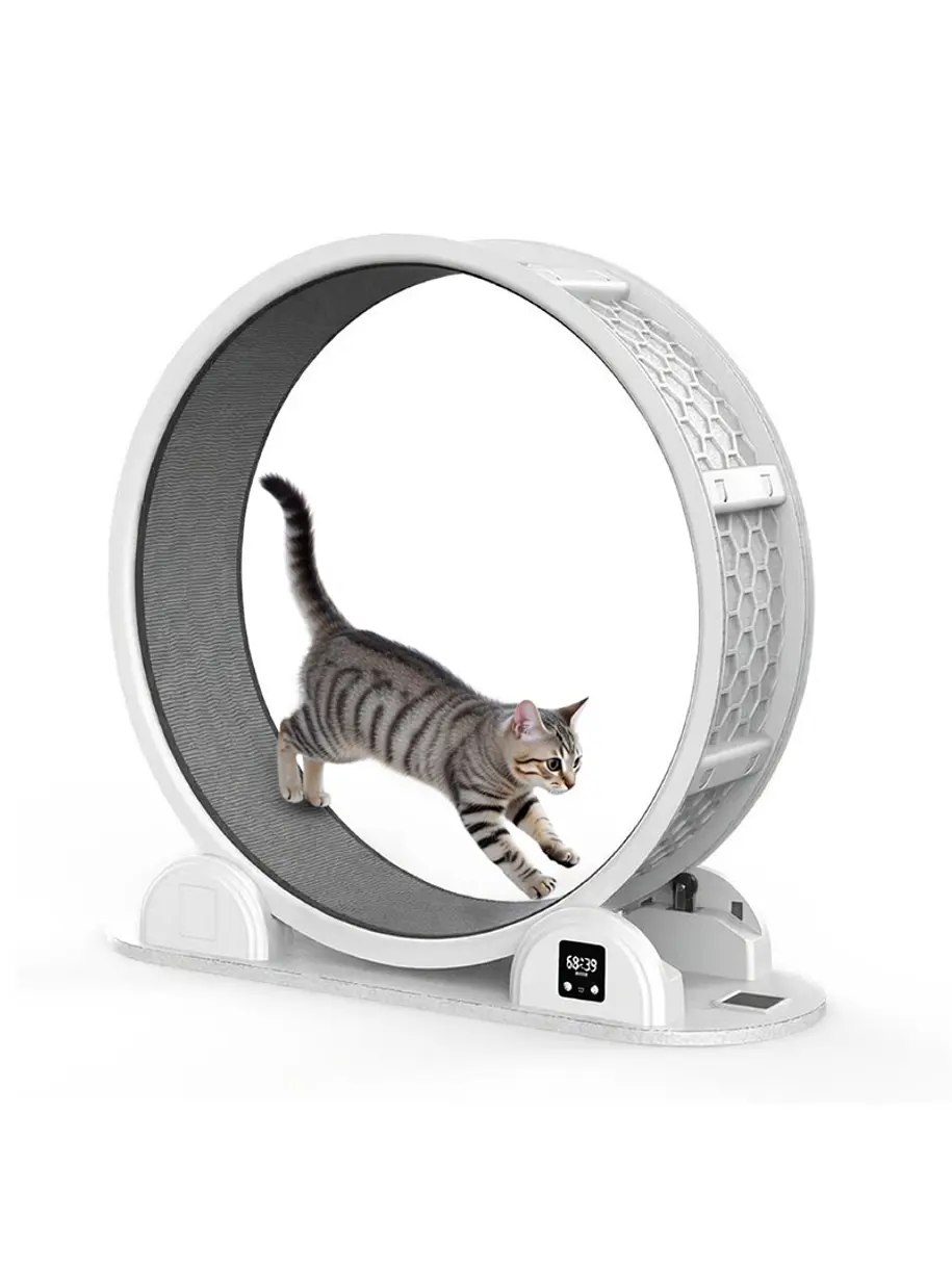 Rueda de Ejercicio Smart Caminadora Para Gatos 1