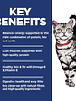 Hill's Science Diet Gato Adulto Indoor 1-6 años 1.58Kg - Miniatura 4