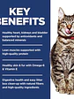 Hill's Science Diet Gato Adulto Indoor 7+ 1.58Kg - Miniatura 4