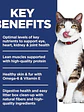 Hill's Science Diet Gato Adulto Indoor 11+ 1.58Kg - Miniatura 4