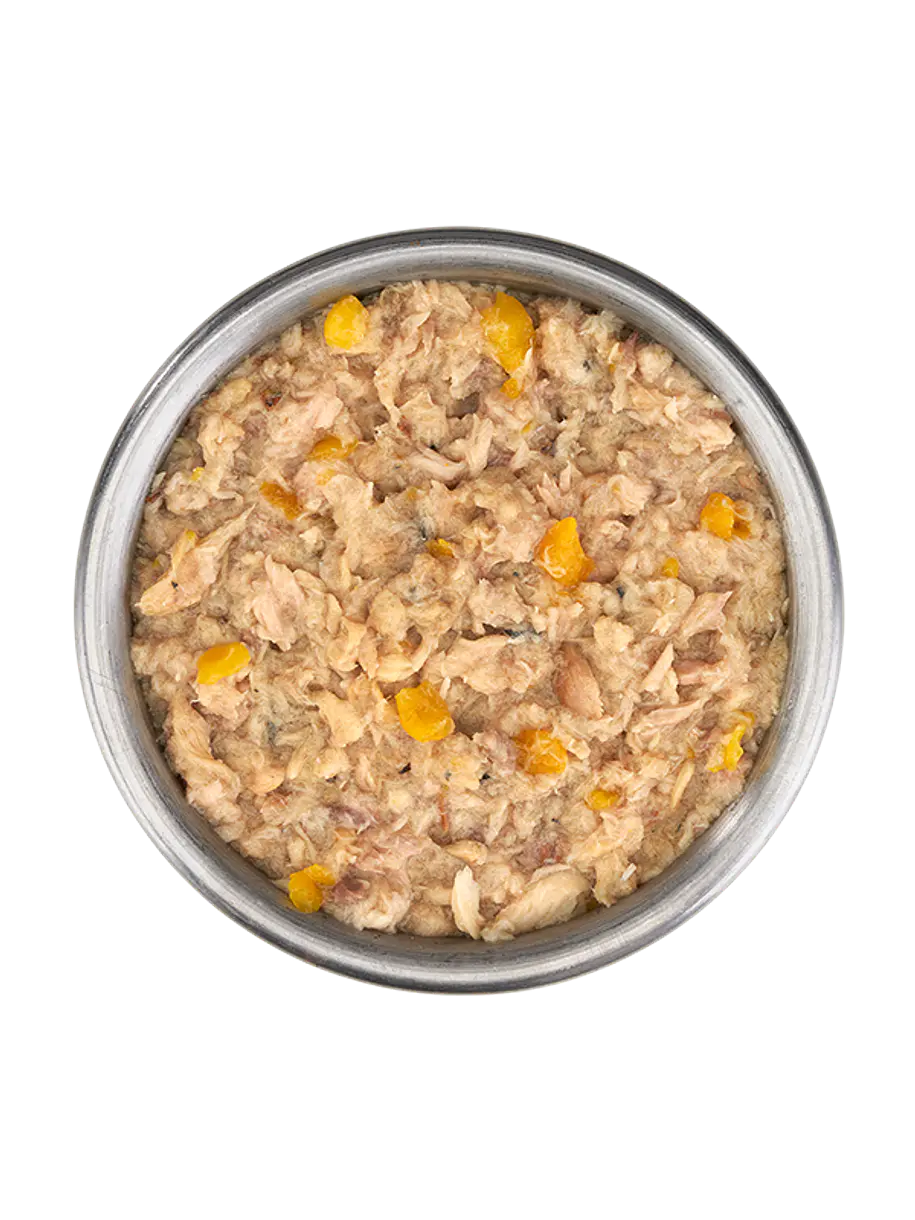 Tiki Cat Lata Silver Tuna And Mackerel 70gr 2