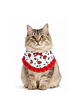 Bandana Huasa Chinita para Gatos - Miniatura 3