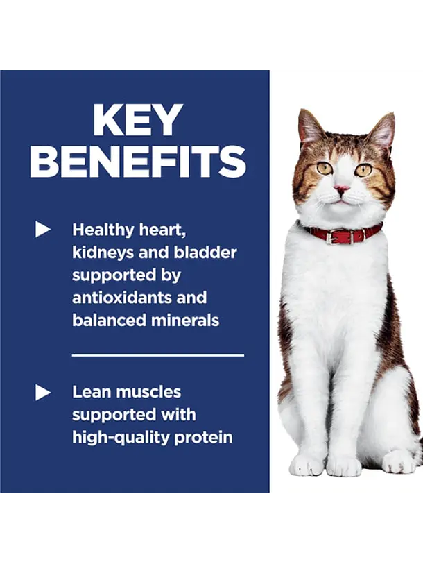 Hill's Science Diet Gato Adulto 7+ 1.58Kg 4