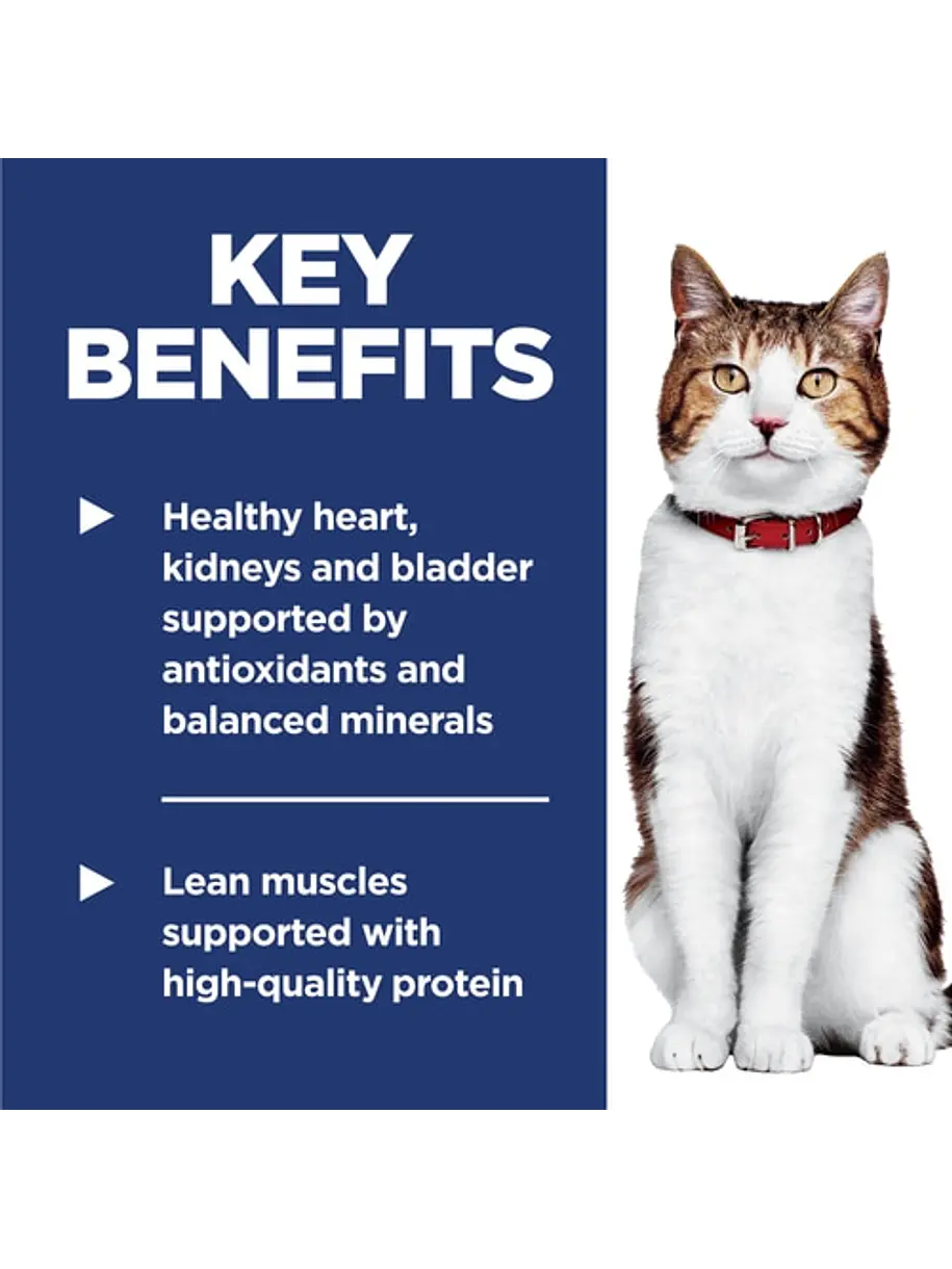 Hill's Science Diet Gato Adulto 7+ 1.58Kg 4