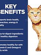Hill's Science Diet Gato Senior Vitality 7+ 1.36Kg - Miniatura 4