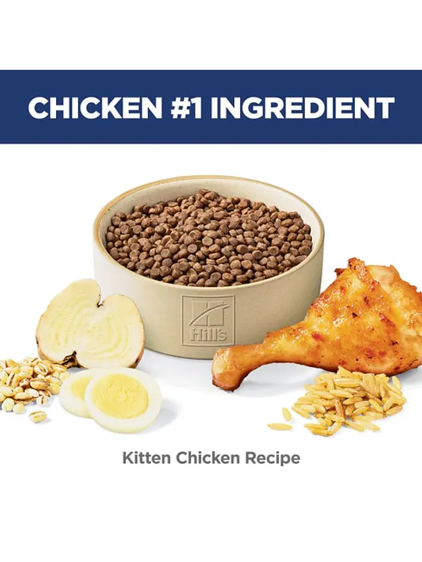 Hill's Science Diet Gato Kitten 1.58Kg 3