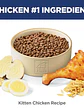 Hill's Science Diet Gato Kitten 1.58Kg - Miniatura 3
