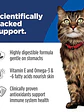 Hill's Science Diet Gato Adulto Sensitive Stomach & Skin1.58Kg - Miniatura 4