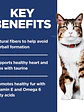 Hill's Science Diet Gato Adulto Hairball Control 1.58Kg - Miniatura 4