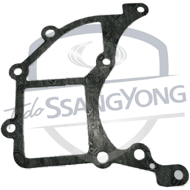 EMPAQUETADURA BOMBA AGUA ACTYON 2.0 / REXTON