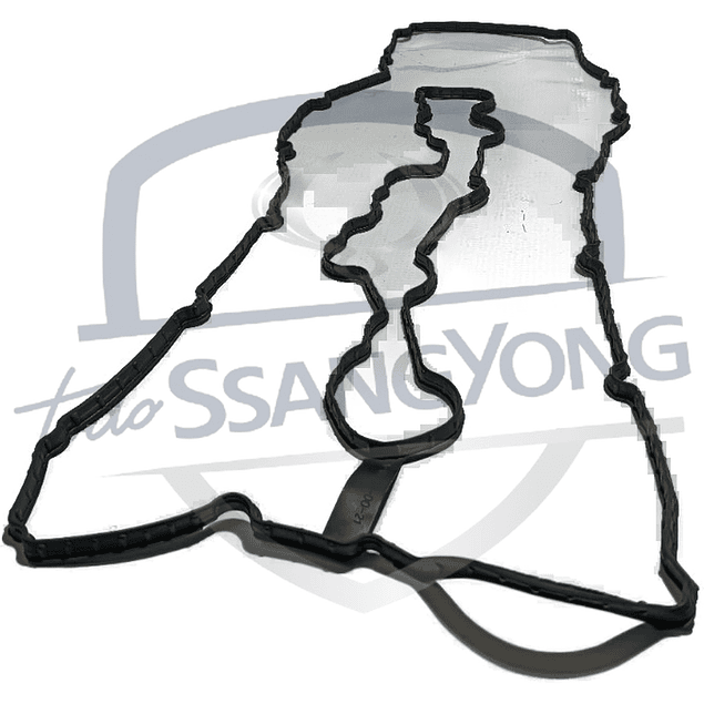 EMPAQUETADURA TAPA VALVULA NEW REXTON BENC