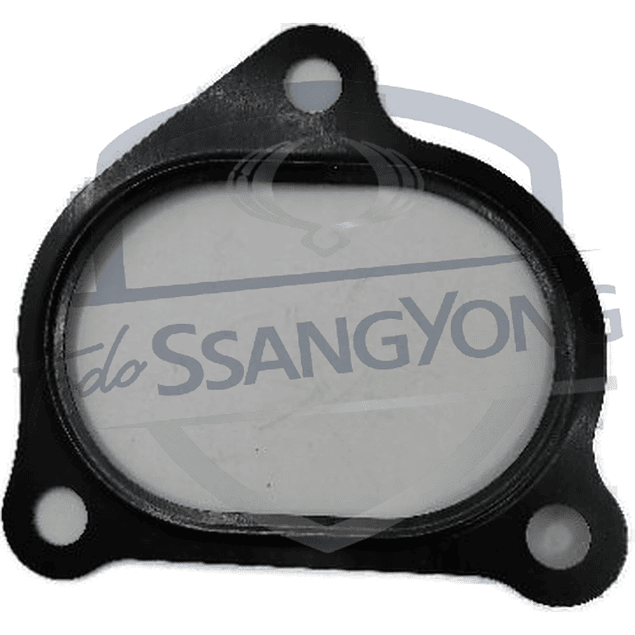 EMPAQUETADURA TUBO ADMISION NEW ACTYON