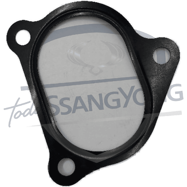 EMPAQUETADURA TUBO ADMISION NEW ACTYON