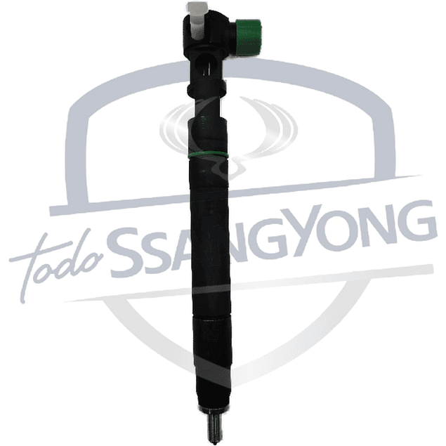 INYECTOR EURO 6 NEW ACTYON 2.2