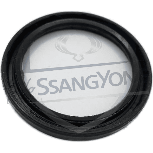 RETEN ENTRADA TRANSFER KORANDO 2015