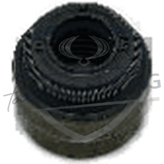 RETEN VALVULA TIVOLI 1.6