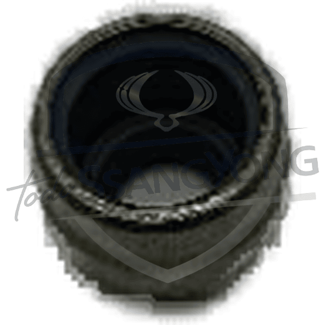 RETEN VALVULA TIVOLI 1.6