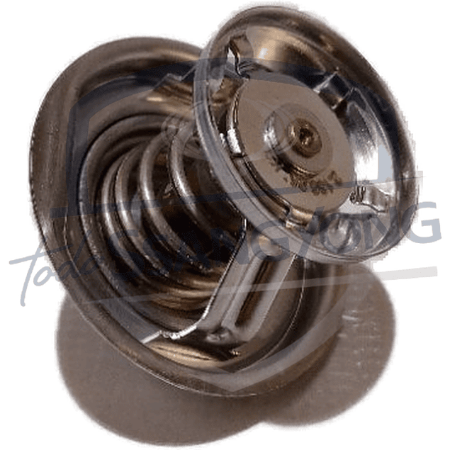 TERMOSTATO ACTYON (SIN ORING)