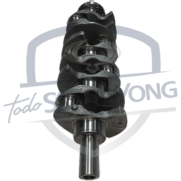 CIGÜEÑAL NEW ACTYON