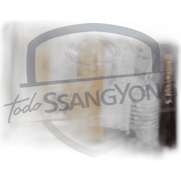 CORREA ALTERNADOR 6PK2120 MUSSO 2.9