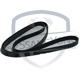 CORREA ALTERNADOR 6PK2255 ACTYON